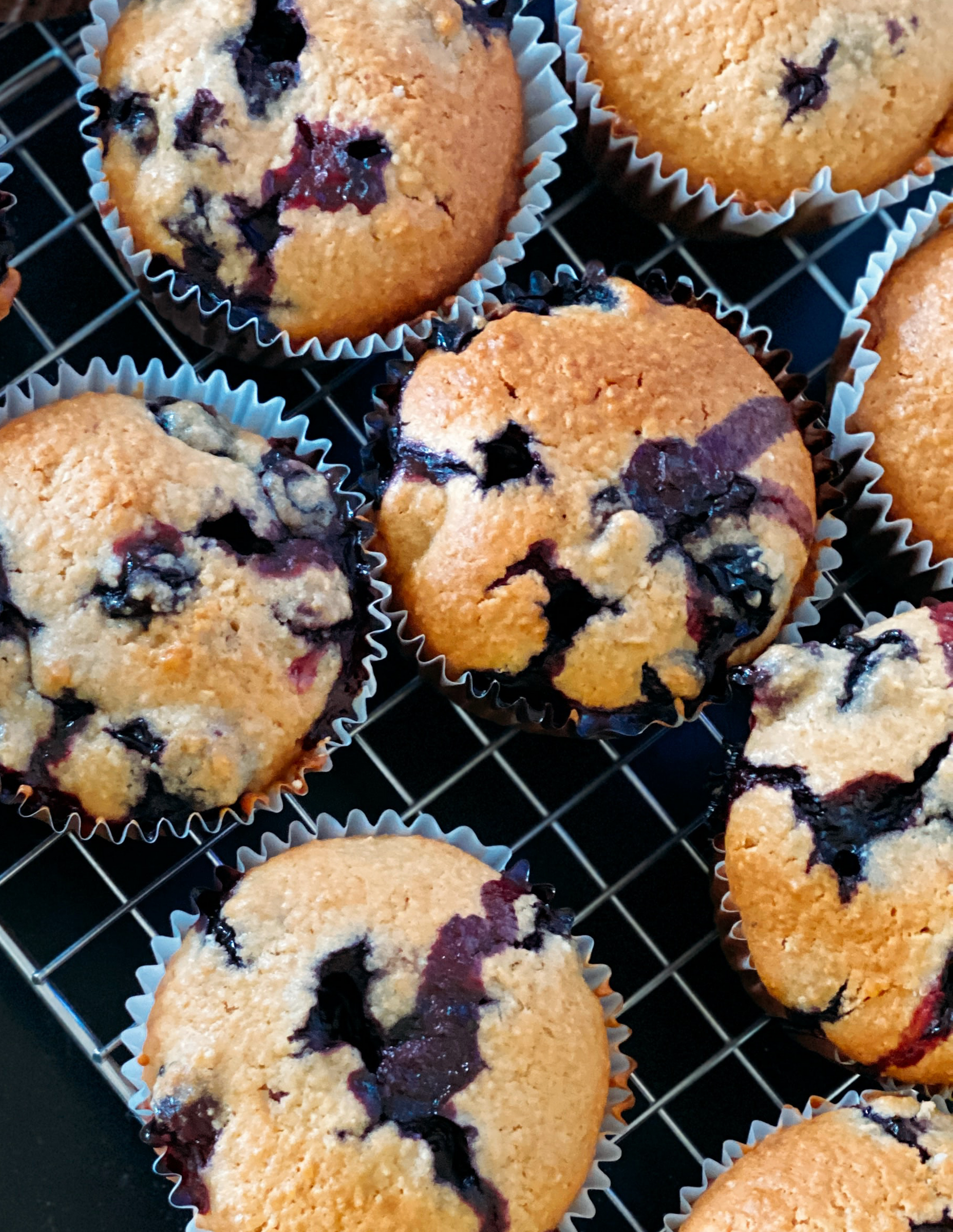 Blueberry Protein Muffins